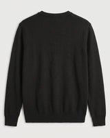 Fine Knit Wool V-Neck Sweater — Black