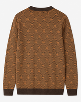 Striped Knit Sweater — Brown